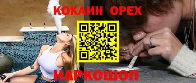 шишки Тара