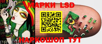 индика Тверь