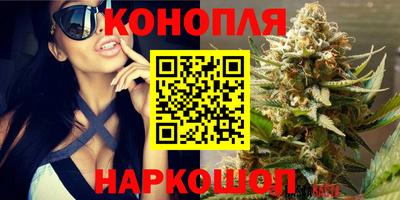 индика Тверь