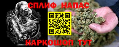 индика Тверь