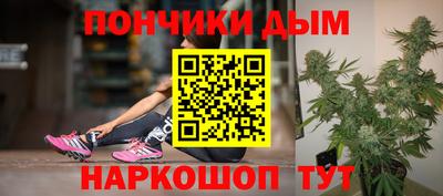 шишки Тара
