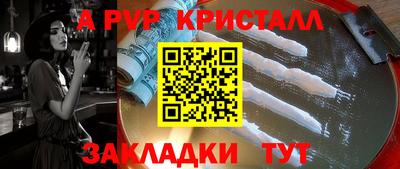шишки Тара