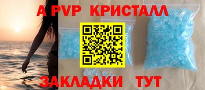 шишки Тара