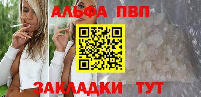 шишки Тара
